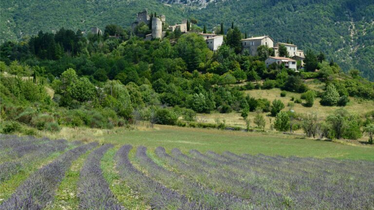 Agritourism