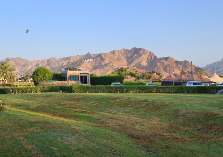 uae-farm