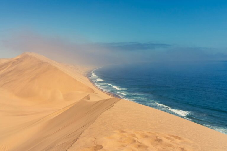 A Desert View in Namibia