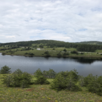 Ribnica Lake