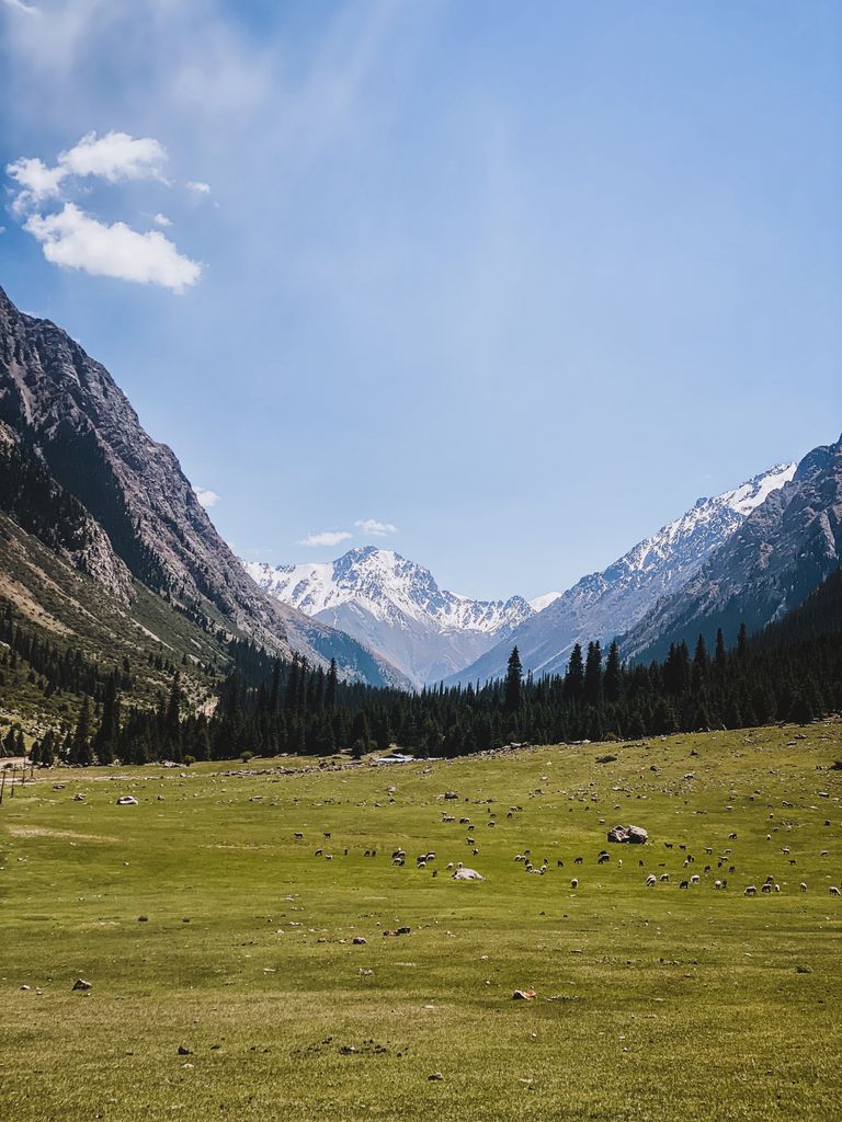 Snow-capped mountains and lush meadow in Barskoon, Kyrgyzstan. Perfect nature escape.
