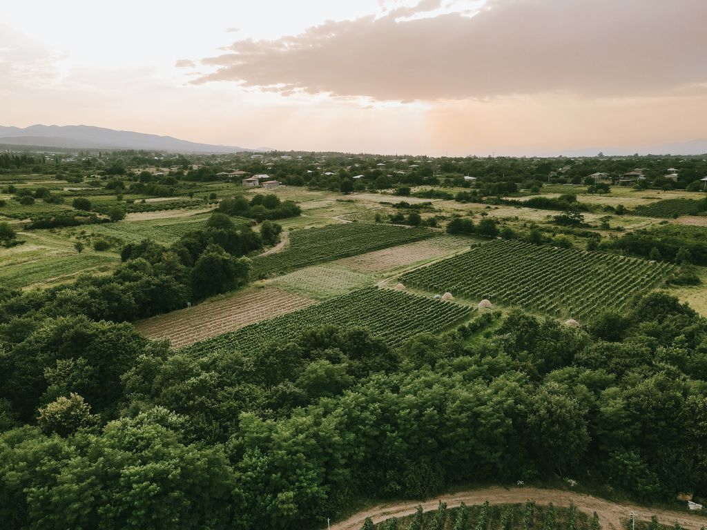 Aerial shot of lush vineyards and farmland in Kakheti, Georgia with a stunning sunset.